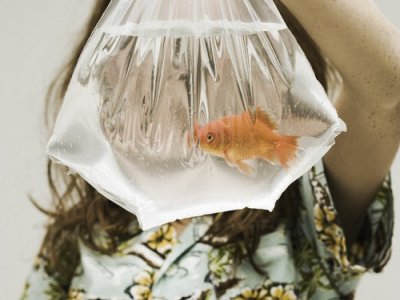 Fish/Girl