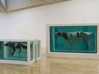 Controversial Hirst Piece Comes To The English Riviera
