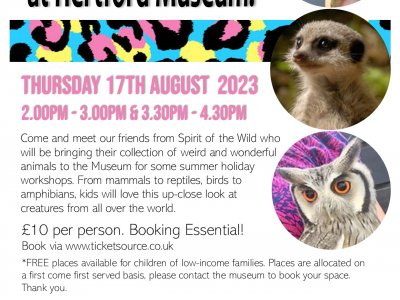 Go Wild at Hertford Museum!