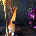 Imaginary Landscapes  - Poetry and Harp Performance
