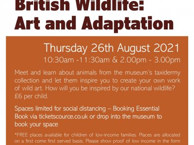 Summer at Hertford Museum: Art and Adaptation