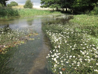 Water: The Bigger Picture, photography exhibition