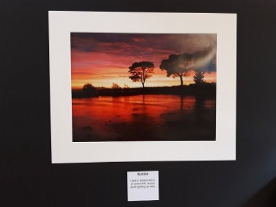 Market Showcase: Matthew Brown Photography Exhibition