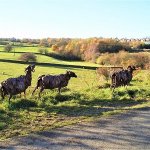 Discovering the Treasures of the Spen Valley