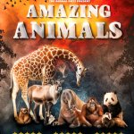 AMAZING ANIMALS