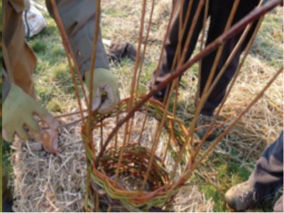 Creative Workshops: Simple Willow Structures