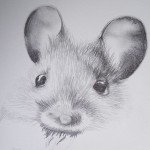Mouse (in progress)