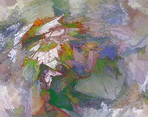 Pastel Leaves by Julie Routley ARPS