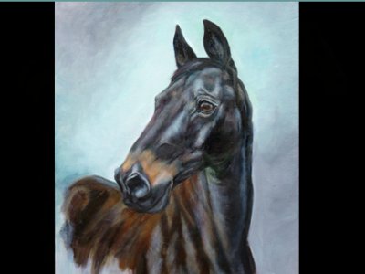 Art course with award winning artist - Painting the horse